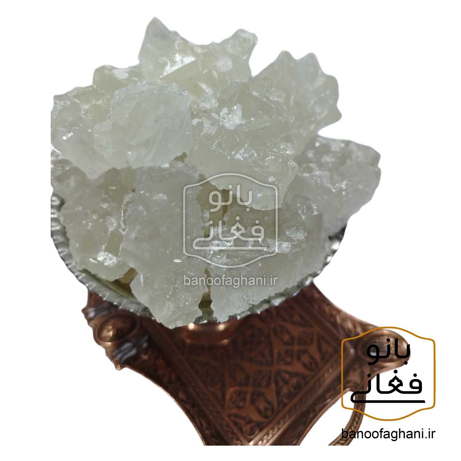 نبات ساده - کاسه نبات ساده